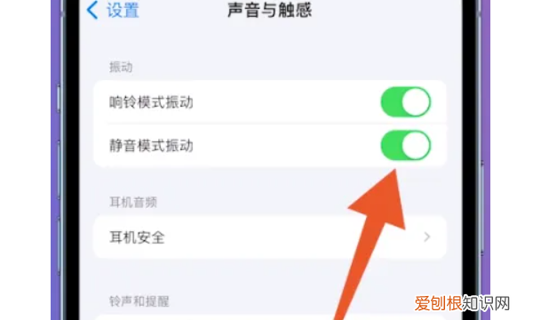 苹果手机怎么调成静音