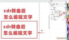 cdr该怎样才可以复制文字