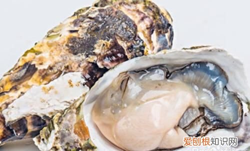 牡蛎哪里能吃，生蚝哪些部位不能吃