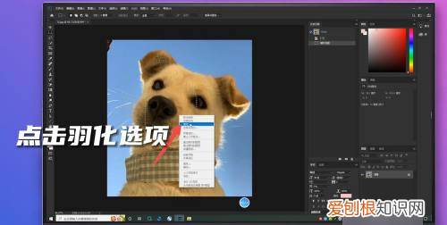 在PS咋羽化边缘，ps羽化边缘的快捷键是什么