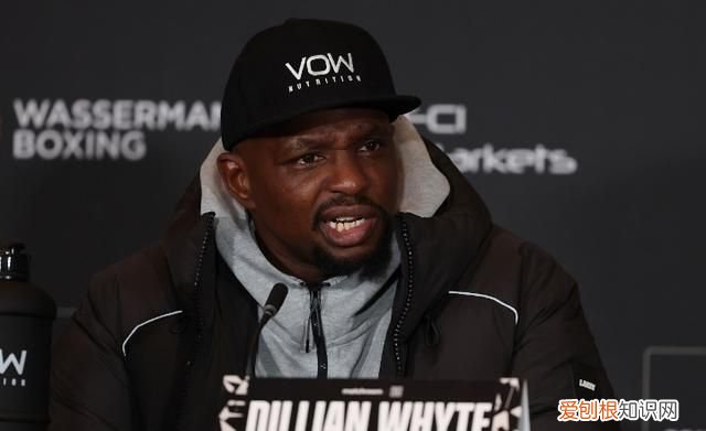 最近约书亚与怀特的比赛