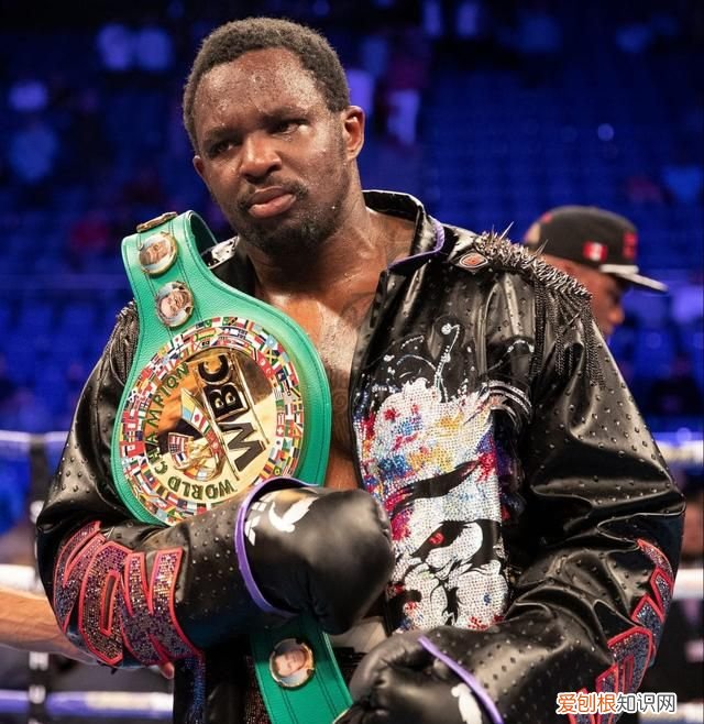 最近约书亚与怀特的比赛