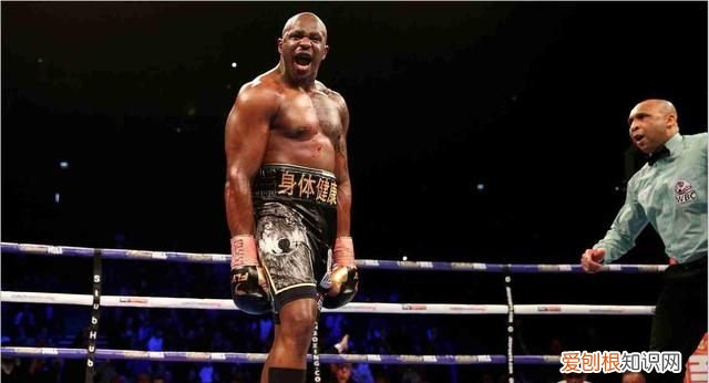 最近约书亚与怀特的比赛