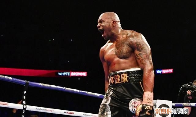 最近约书亚与怀特的比赛