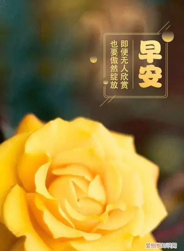 悟透人心的一段话早安,人生是一种选择亦是一种放弃早安