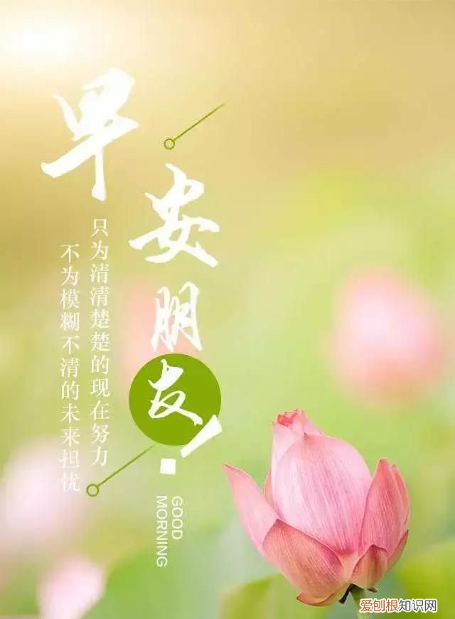 悟透人心的一段话早安,人生是一种选择亦是一种放弃早安