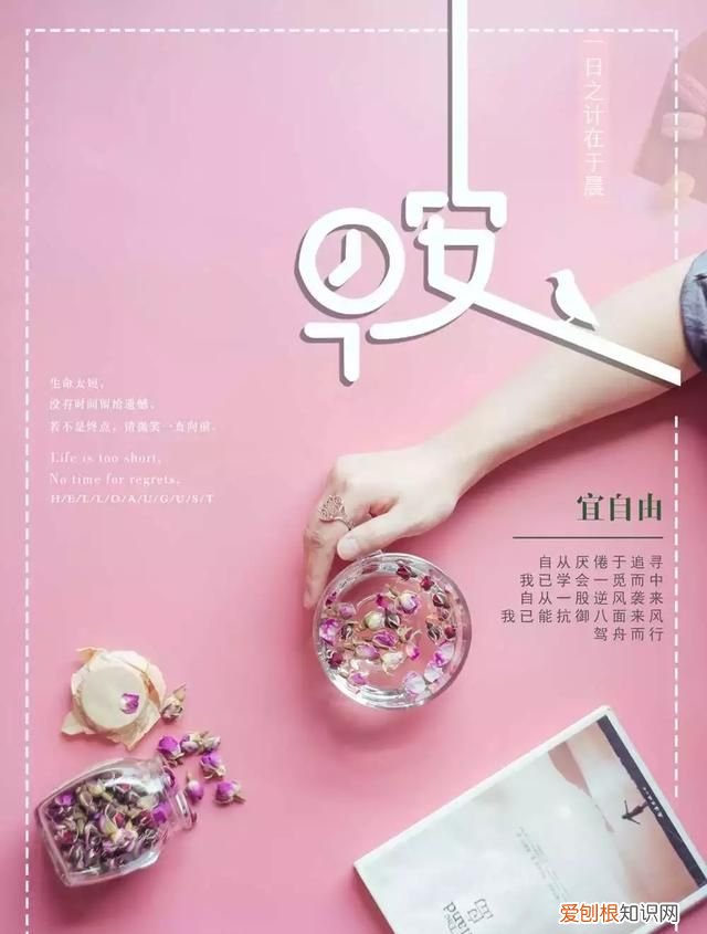 悟透人心的一段话早安,人生是一种选择亦是一种放弃早安