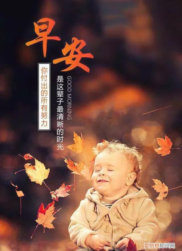 悟透人心的一段话早安,人生是一种选择亦是一种放弃早安