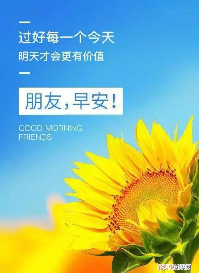 悟透人心的一段话早安,人生是一种选择亦是一种放弃早安