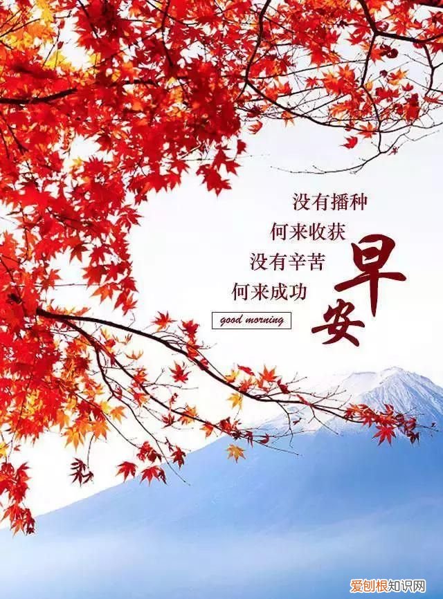 悟透人心的一段话早安,人生是一种选择亦是一种放弃早安