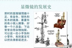 显微镜是谁发明的，显微镜发明前谁把生物分为动物和植物