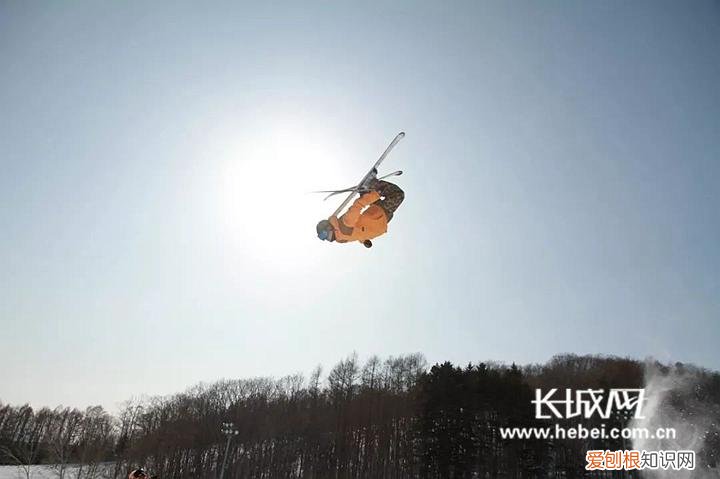 平花是什么意思