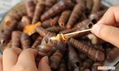 六月的螺丝仔多，八月份的螺丝能吃吗