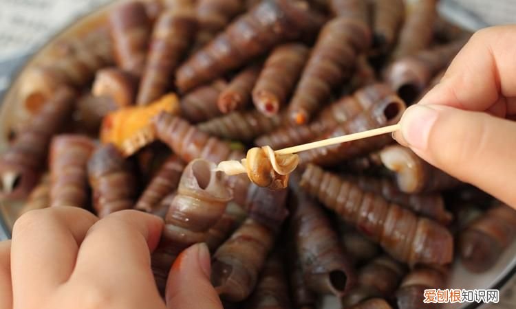 六月的螺丝仔多,八月份的螺丝能吃吗