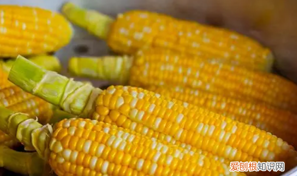 新鲜玉米可以放几天，新鲜玉米在冬天没有冰箱能可以放5天