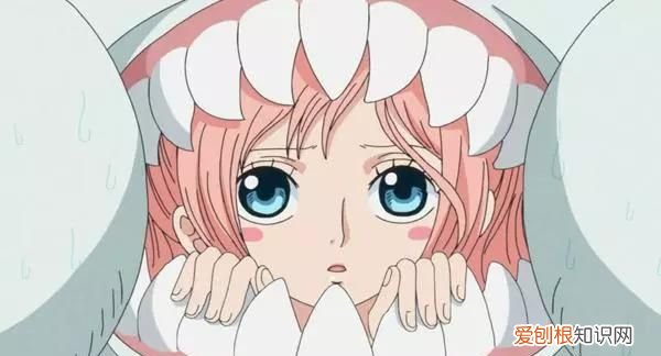 派大星的海洋裤什么意思