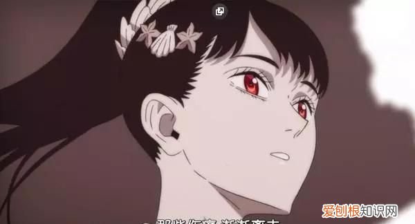 派大星的海洋裤什么意思