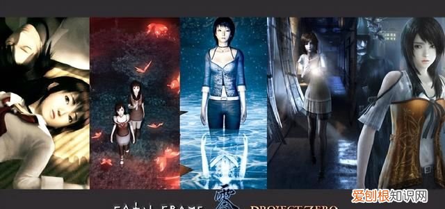 零 月蚀的假面 评测,零月蚀的假面switch有数字升级包吗