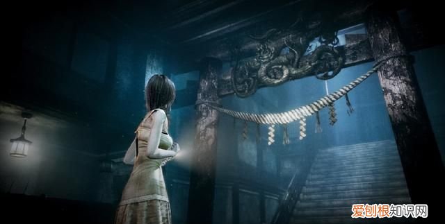 零 月蚀的假面 评测,零月蚀的假面switch有数字升级包吗