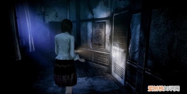 零 月蚀的假面 评测,零月蚀的假面switch有数字升级包吗