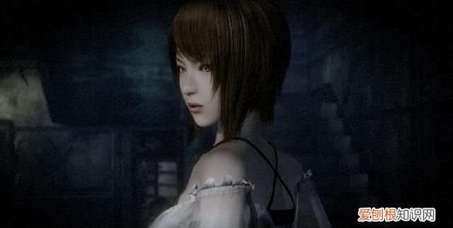 零 月蚀的假面 评测,零月蚀的假面switch有数字升级包吗