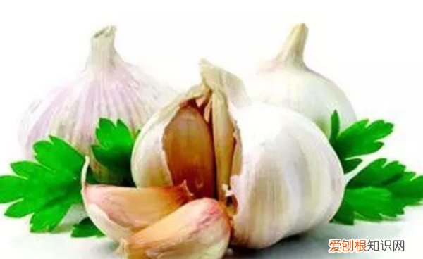 房间里蚊子太多怎么办，屋里蚊子太多了怎么彻底清除干净