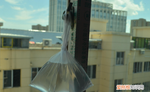 房间里蚊子太多怎么办，屋里蚊子太多了怎么彻底清除干净