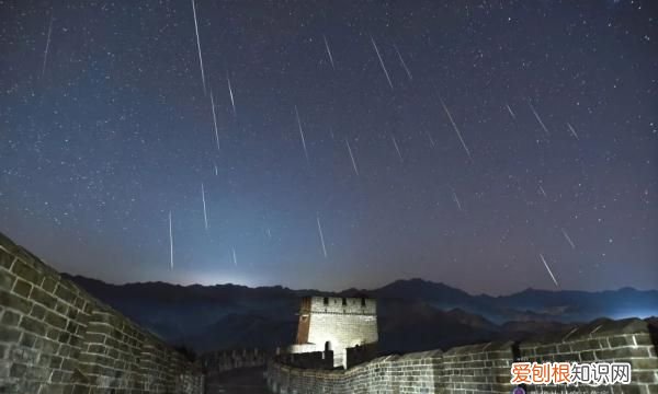 夜空礼花绽放照片