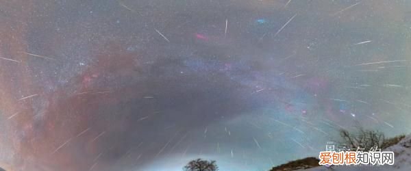 夜空礼花绽放照片