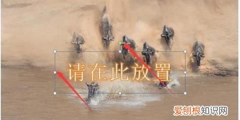 ps怎么样才可以加水印,怎么在图片上添加水印多方法