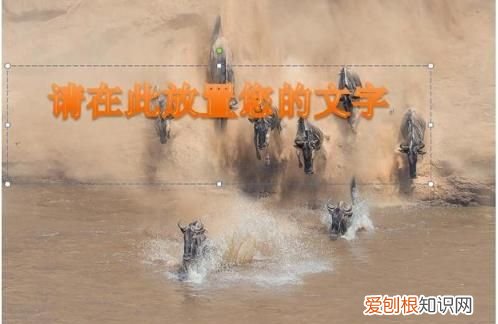 ps怎么样才可以加水印,怎么在图片上添加水印多方法