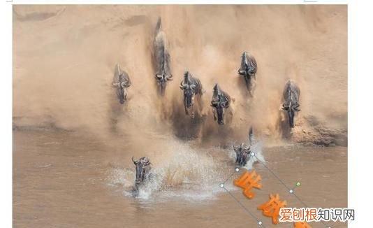 ps怎么样才可以加水印,怎么在图片上添加水印多方法