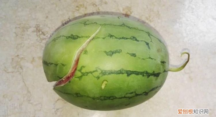 西瓜摔裂了还能吃吗