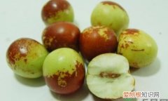 冬枣放冰箱怎么保存，冬枣不放冰箱如何保存