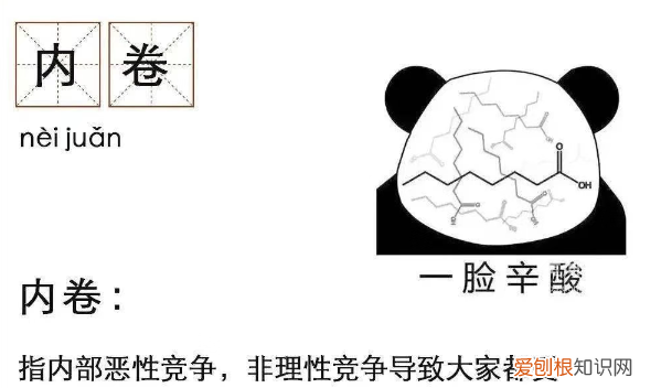 卷起来了是什么梗