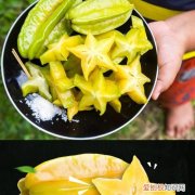 杨桃需要冷藏吗，杨桃青的需要放几天熟