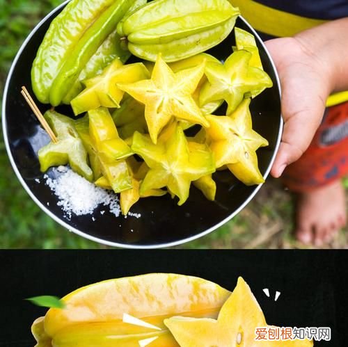 杨桃需要冷藏吗，杨桃青的需要放几天熟