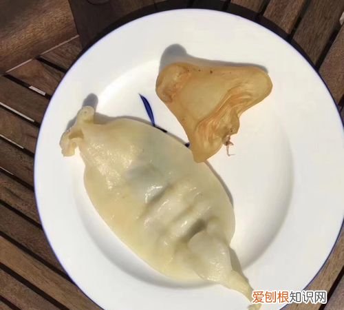 鱼胶和鱼泡的区别是，鳘鱼胶和鳕鱼胶的区别