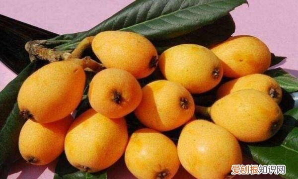 枇杷的核能吃吗，枇杷核长出的枇杷树结的好