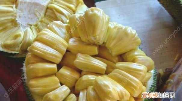 菠萝蜜太熟了能吃吗，菠萝蜜不太熟还拿水冲洗了胶