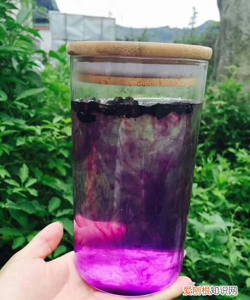 黑枸杞泡水后什么颜色