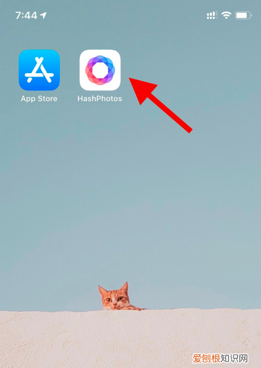 iphone怎么看照片大小mb,在苹果手机该咋看照片大小