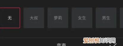 实时打字效果怎么做，ppt怎么制作文字键盘打字的效果