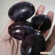 西梅发黑了还能吃吗