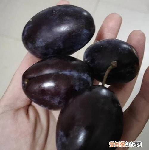 西梅发黑了还能吃吗