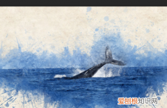 ps切片工具怎么用，可以咋用切片工具