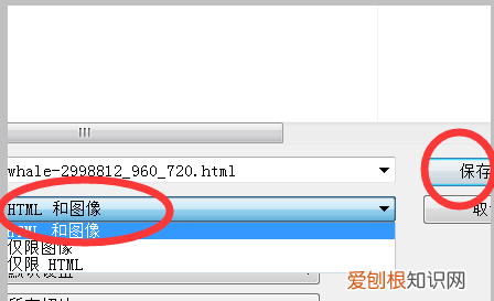 ps切片工具怎么用,可以咋用切片工具