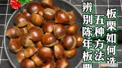 怎么区分板栗的生熟，平常在街上卖的板栗的做法