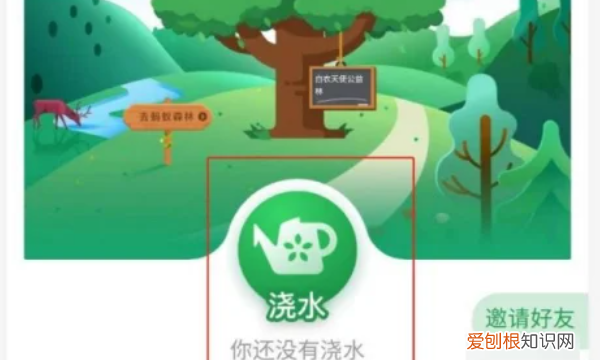 蚂蚁森林怎么种树,支付宝公益活动蚂蚁森林怎么种树