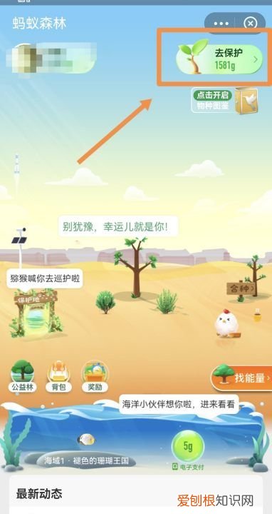 蚂蚁森林怎么种树,支付宝公益活动蚂蚁森林怎么种树